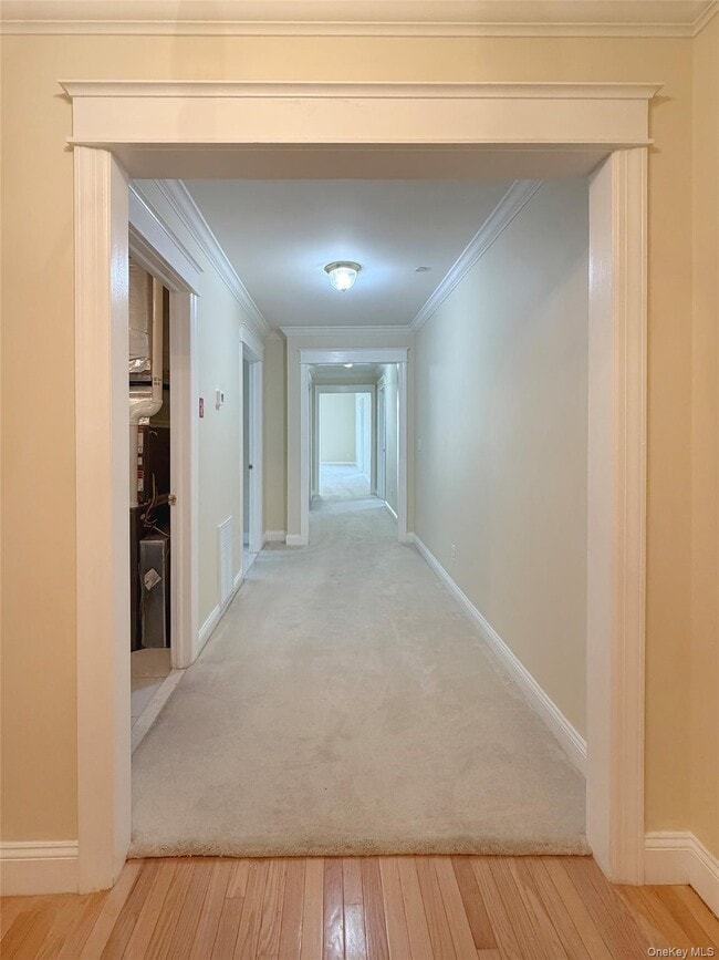Building Photo - 19 Cropsey St
