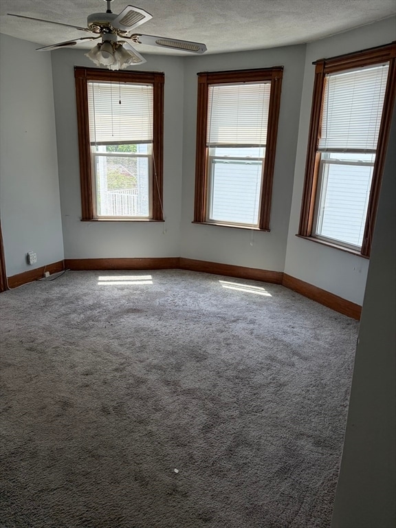 Building Photo - 19 Sturgis St