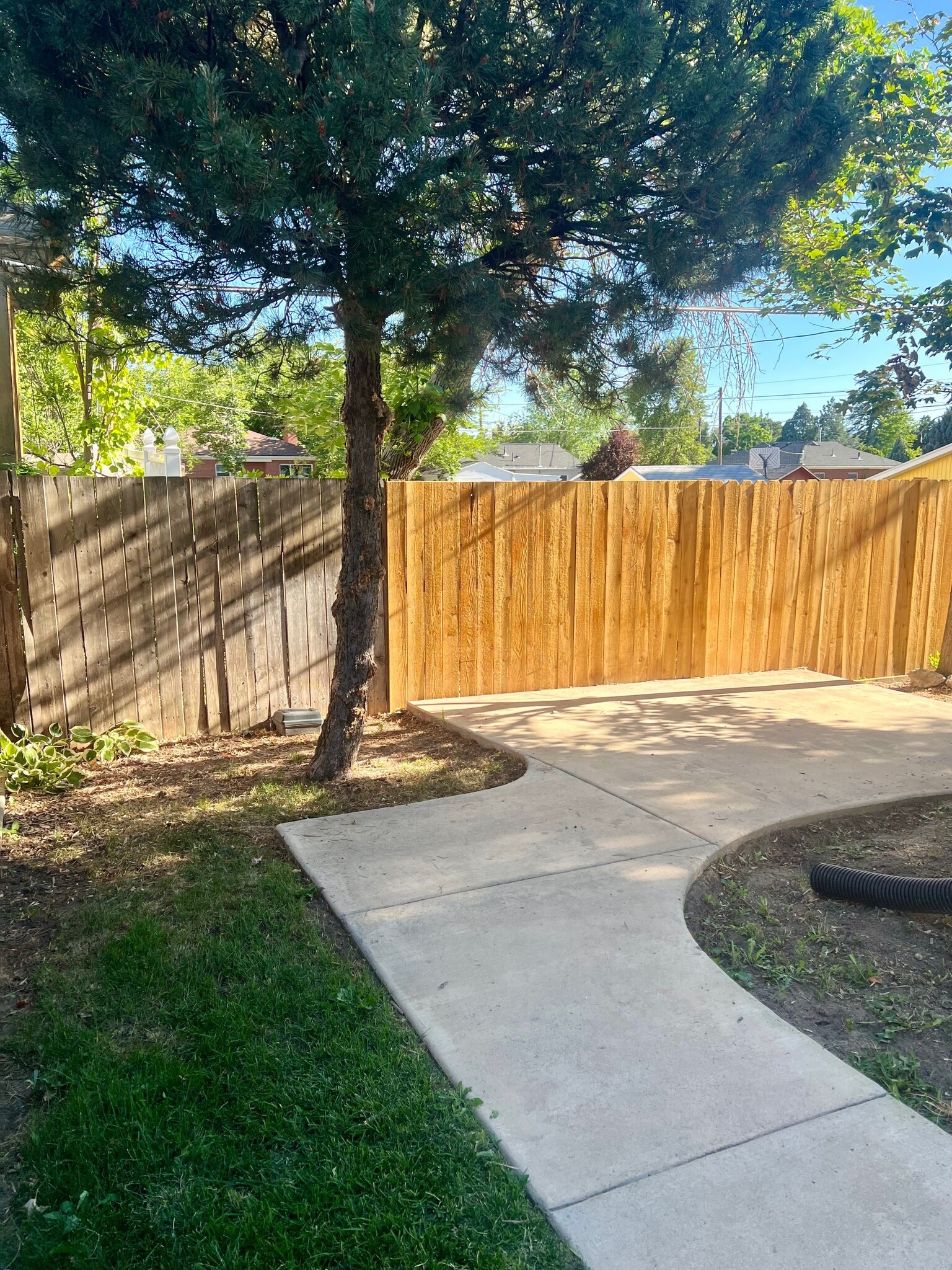Side Yard - 2344 E Fisher Ln