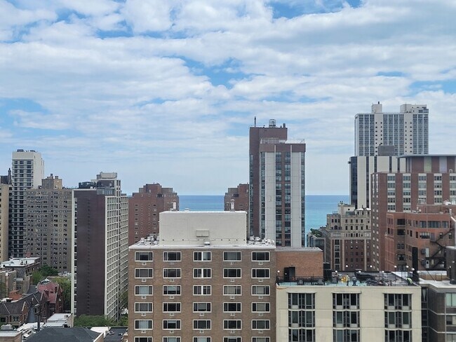 Building Photo - 1355 N Sandburg Terrace