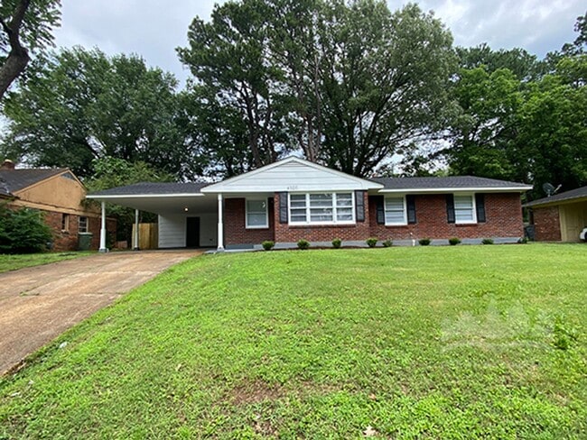 Primary Photo - Welcome to 4020 Graceland!