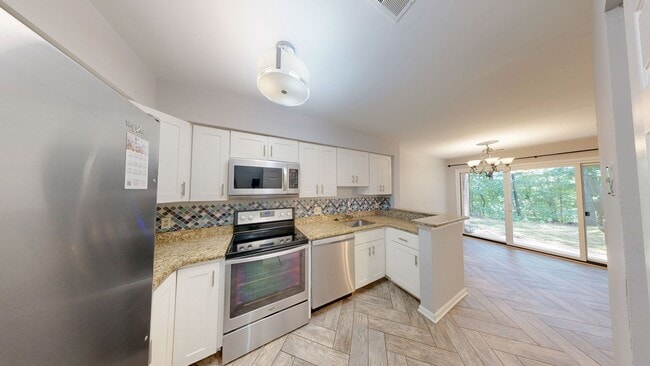 Building Photo - Spacious and Updated 1 bed + 1 BA Condo - walk out level