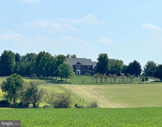 Building Photo - 6110 Holter Rd