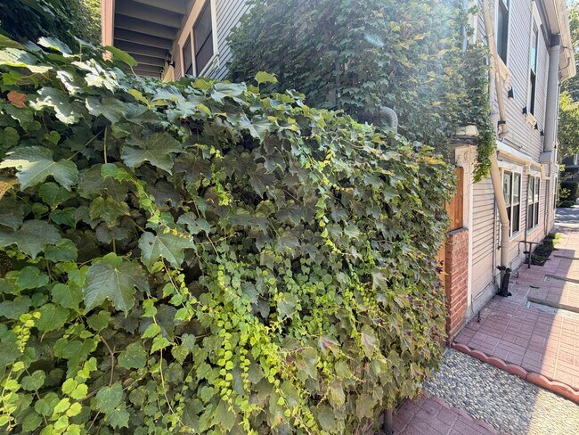 Building Photo - Tastefully remodeled Midtown Sacramento Apartment with Private Backyard Patio!