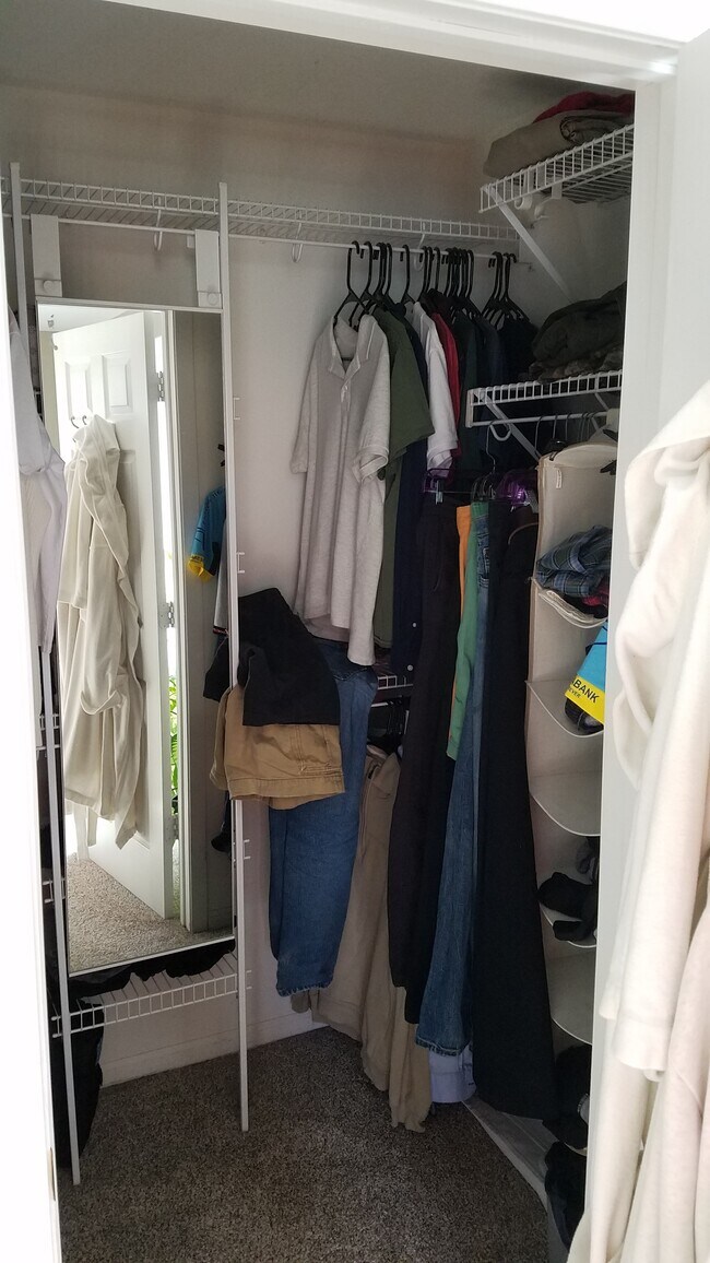 Master walk-in closet - 157 Linden Ln