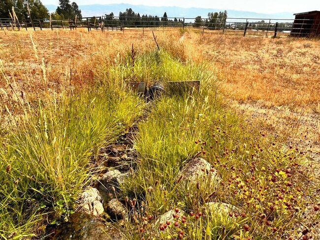 Building Photo - 10 Acres of Horse Property in Victor!