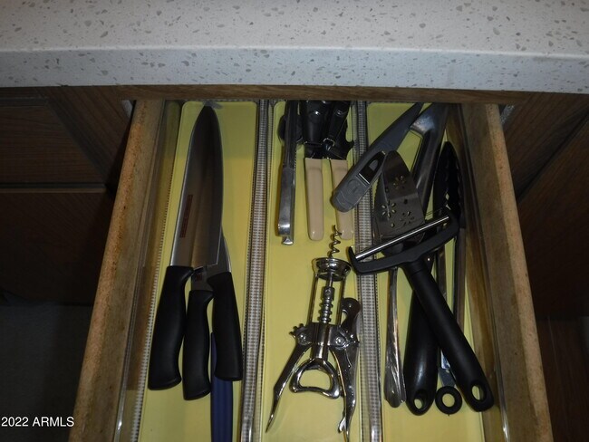 Building Photo - 11029 W Caron Dr