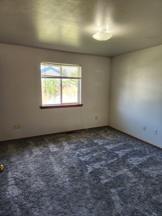 Building Photo - e501