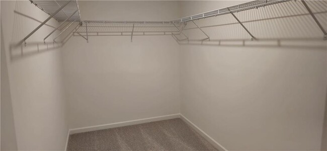 Building Photo - 2801 Habibi Ct
