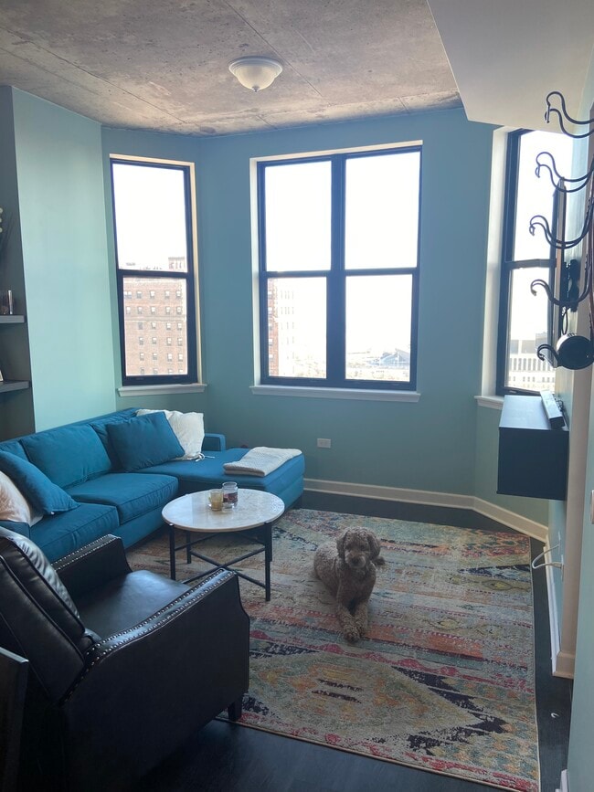 Living Area/all walls are white now - 1464 S MICHIGAN Ave