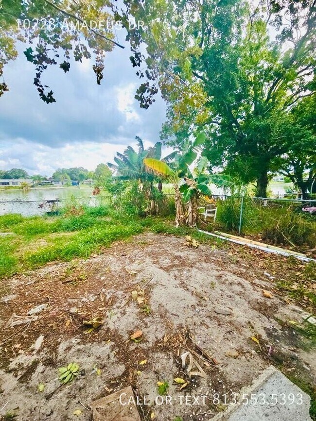 Building Photo - 10228 Amadeus Dr