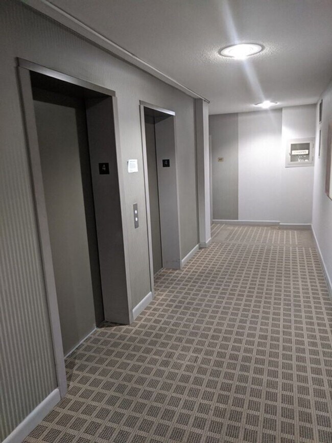 Building Photo - Bright and Spacious Brookline Studio