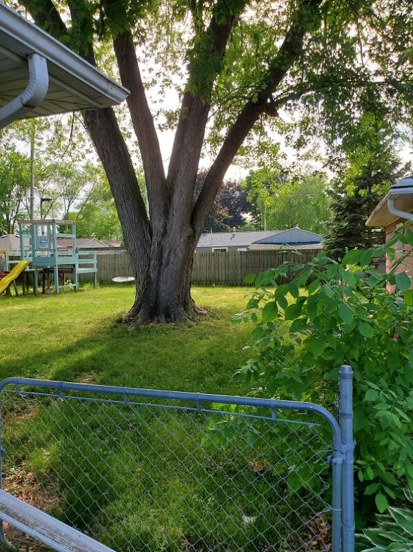 Building Photo - 1163 Higgins Ave