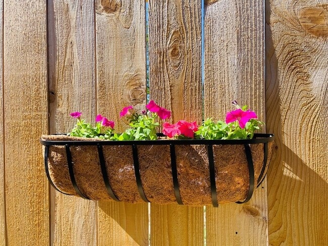 Building Photo - 706 Cirrus Ln