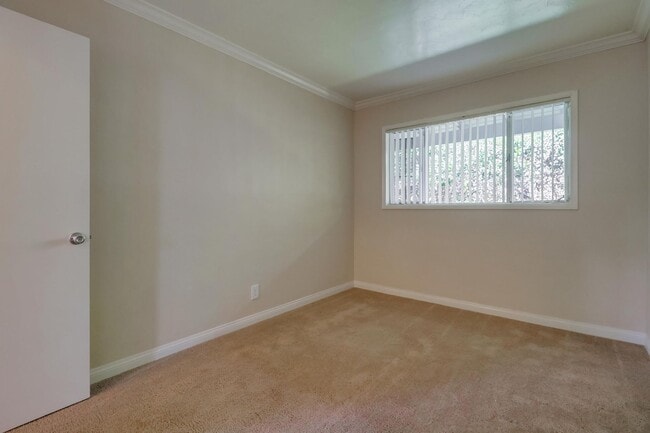 Building Photo - 1 Bed/1 Bath Pacific Beach