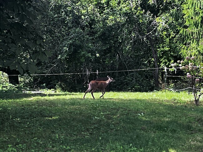 Building Photo - 13620 Batten Rd NE