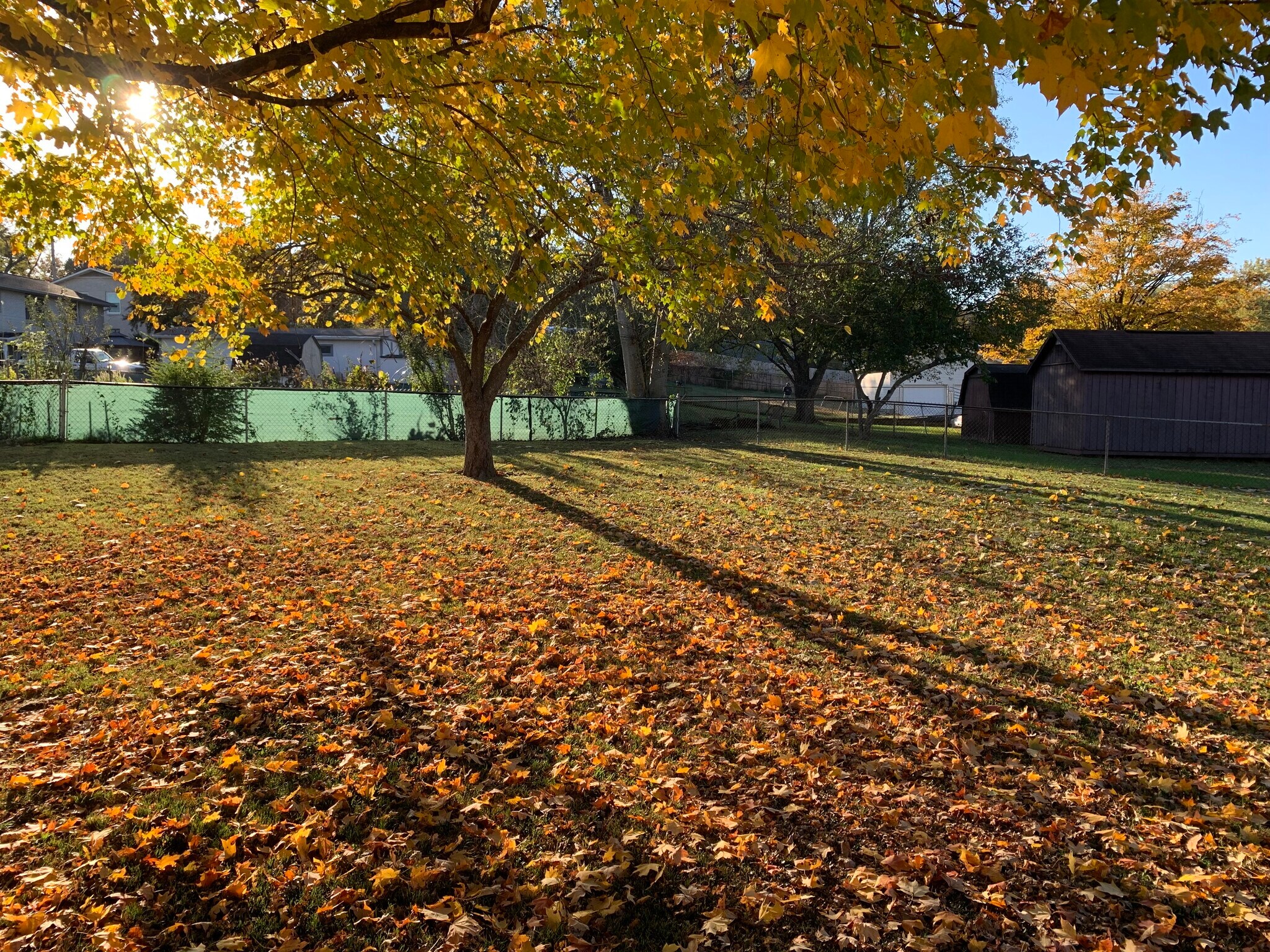 Building Photo - 276 Bonnasprings Dr