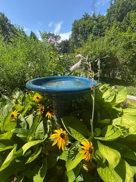 Gardens - 32 Meadow St