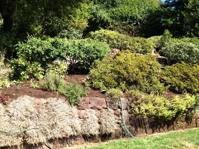 Building Photo - SW PDX Spacious Mid-Century Home Located i...