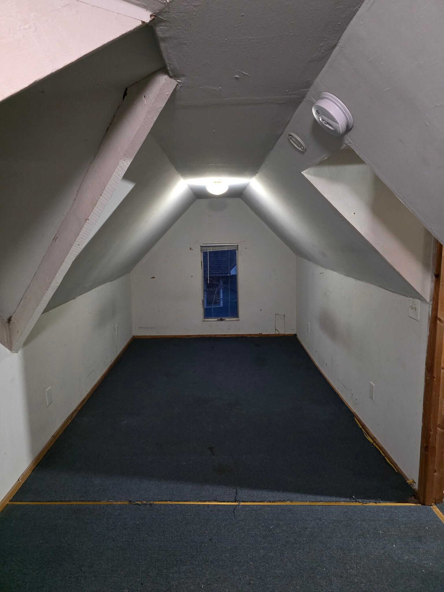 Artic - 983 Portland Ave