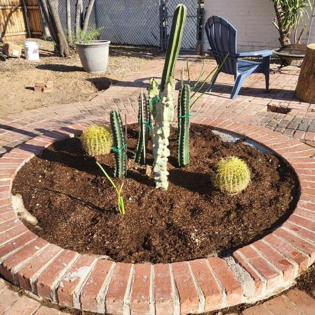 Building Photo - 1548 E 9th St