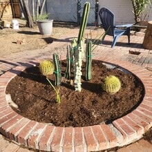 Building Photo - 1548 E 9th St