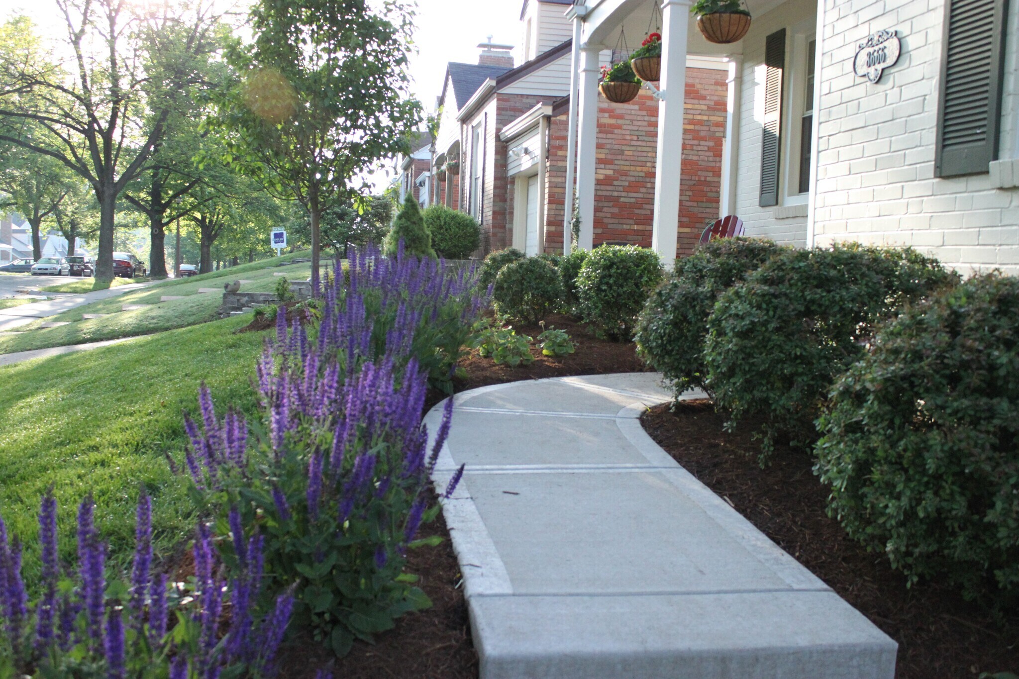 Sidewalk from driveway - 8666 Rosalie Ave