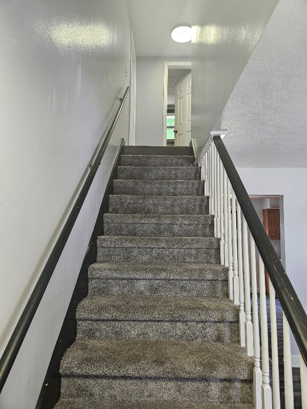 Building Photo - 109 Arthur Ct