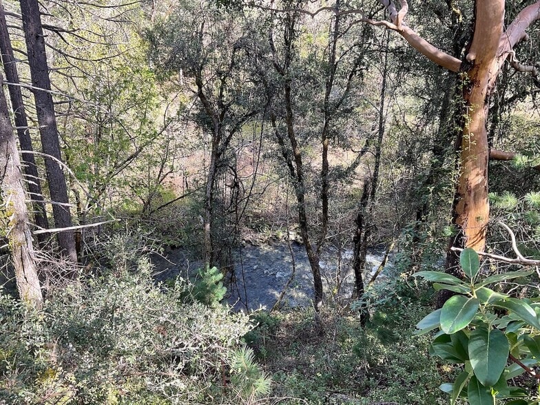 Building Photo - 439 Canyon Oak Dr