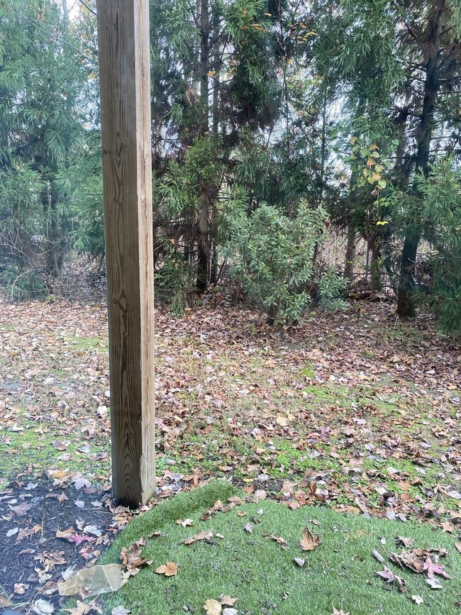 Building Photo - 4319 Saltmarsh Ln