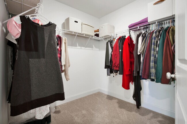 Building Photo - 245 Lonesome Glory Dr