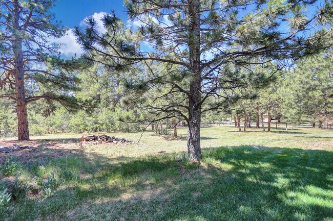 Building Photo - 10503 E Meadow Run