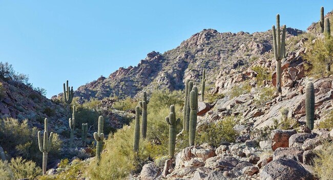 Building Photo - 4849 N Camelback Rdg Dr