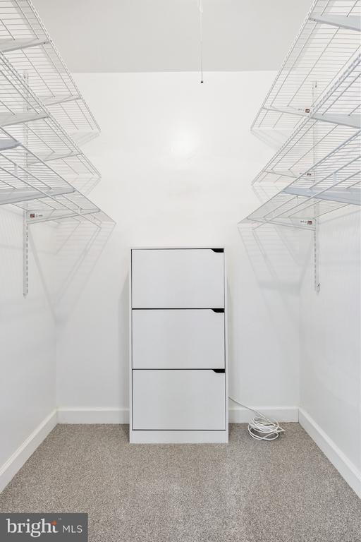 Building Photo - 101 Camber Ln