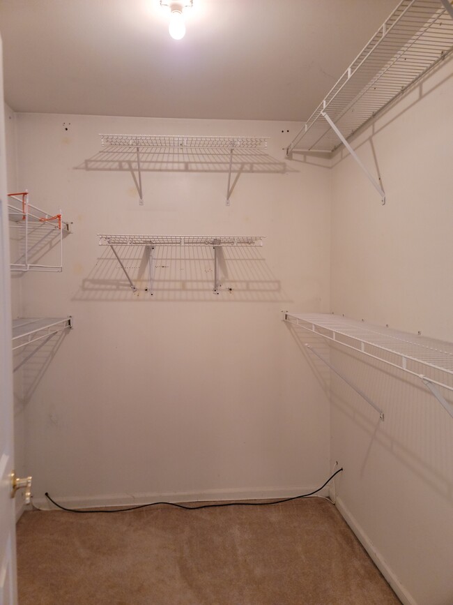 Walk in Closet - 2954 Partridge Ct