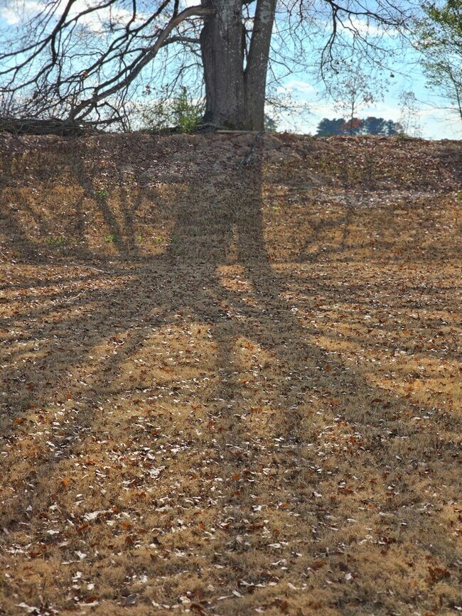 Building Photo - 112 Labrador Ln