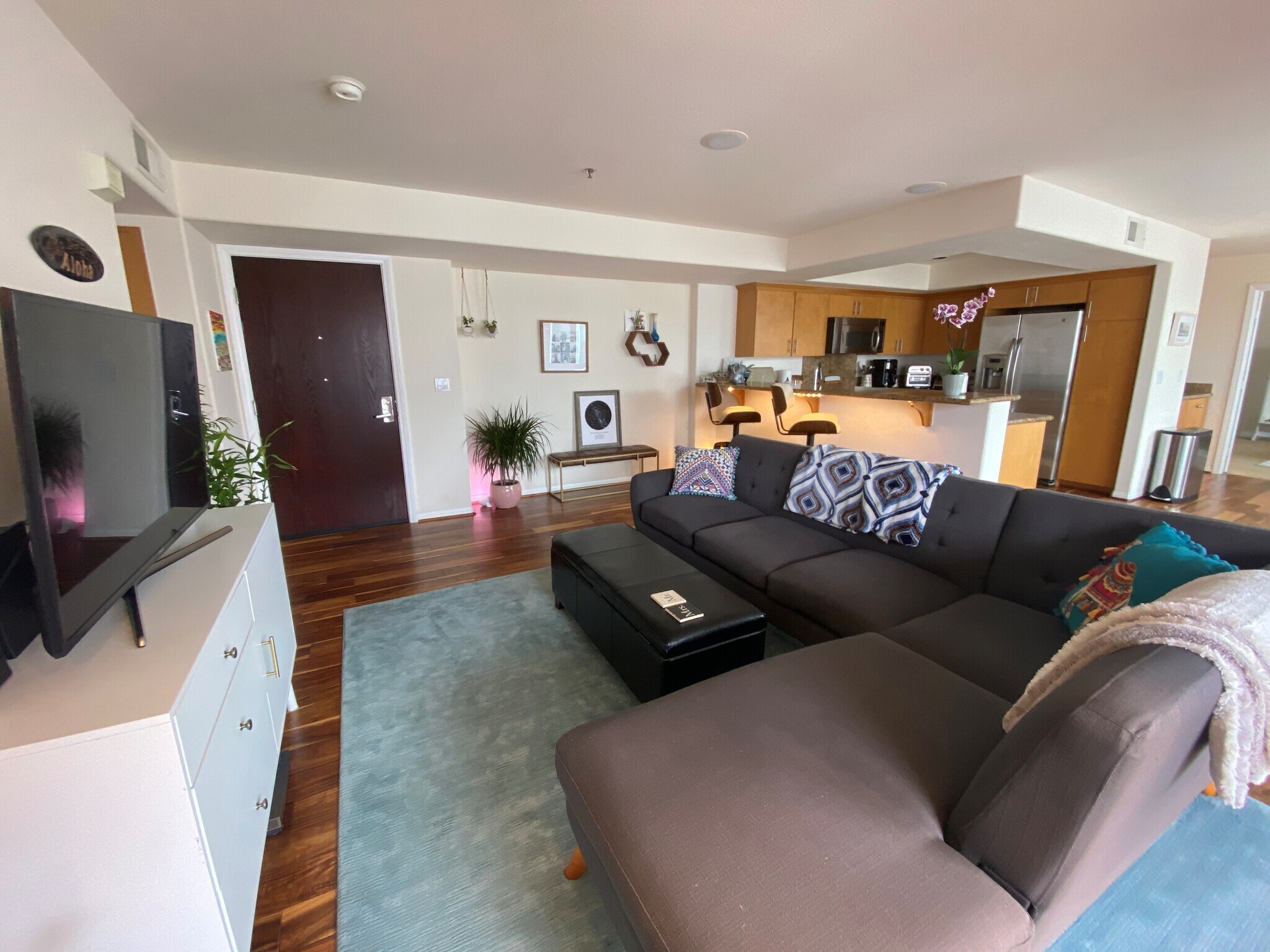 open concept living area with huge south facing windows - 924 Hornblend St