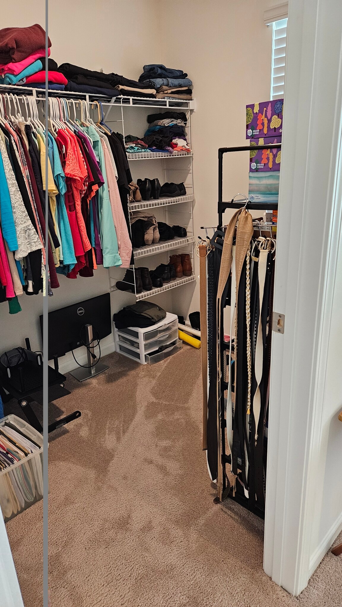 Walk in closet - 1106 Saylors Pl