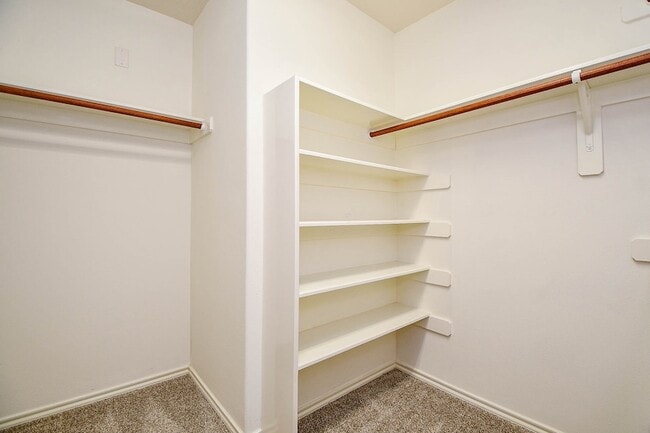 Building Photo - 5607 Stonecloud Ln