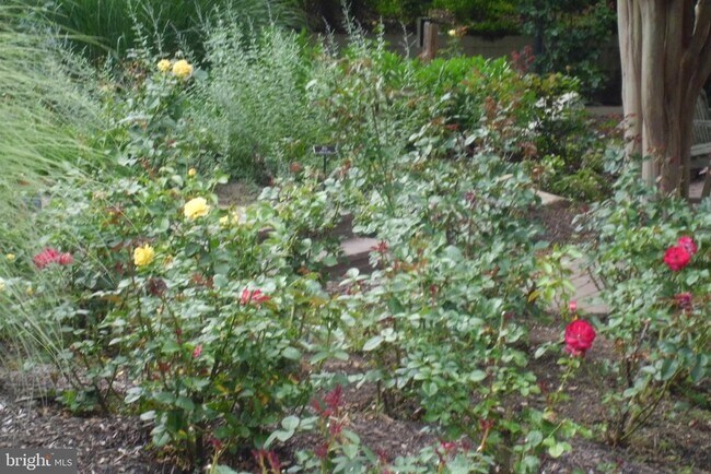 Building Photo - 3808 Delano St