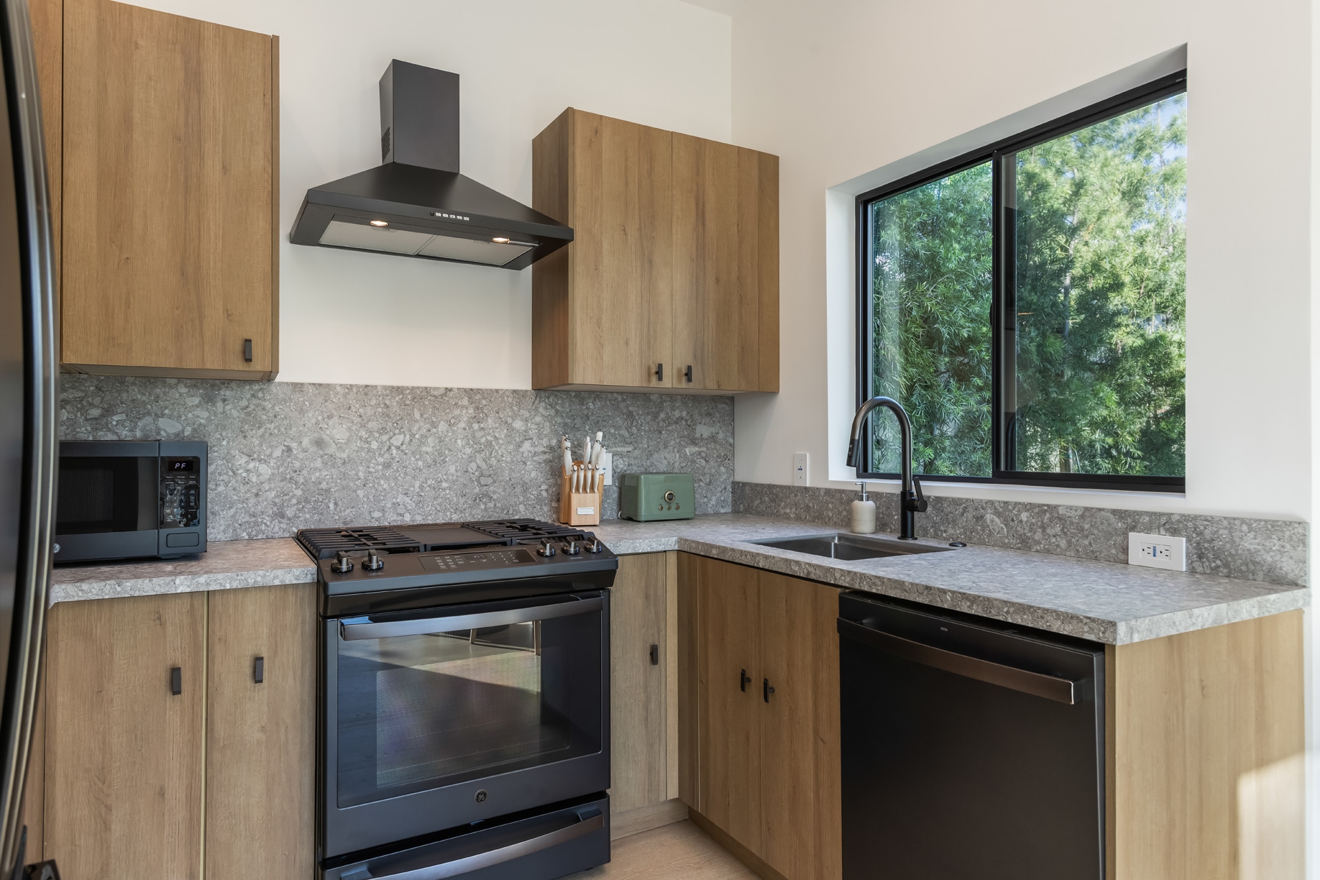 Adu kitchen - 1161 Stearns Dr