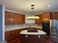 Building Photo - 2833 Grace Forest Pl