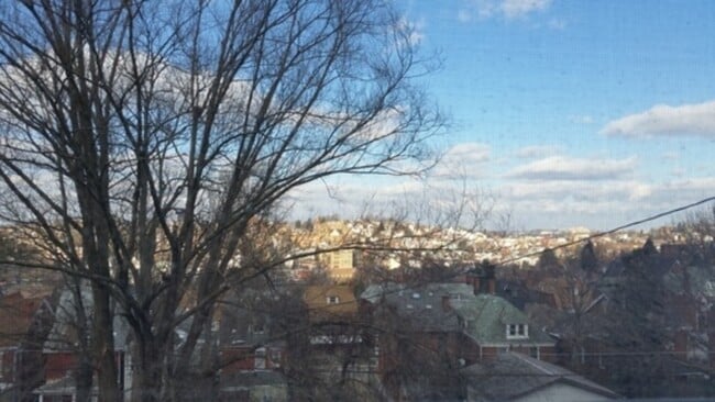 Building Photo - 225 Suncrest St