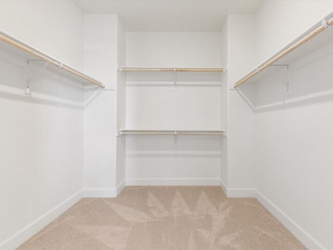 Building Photo - The Cypress - Large and Luxurious 2 Story with 4 Bedrooms, 3 Car Tandem Garage and fully fenced y...