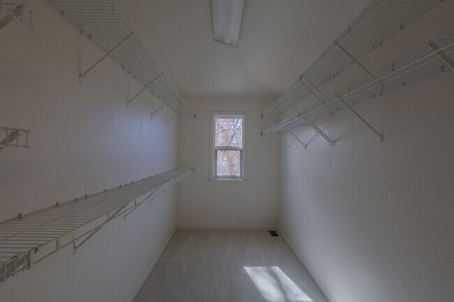 Building Photo - Big, Beautiful, and Bike-Path-Adjacent!