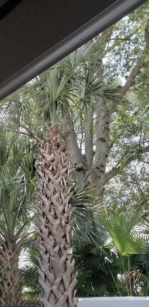 Building Photo - Beautiful  Furnished 1/1 condo x Rent  in Winter Park Next to Full Sail University !