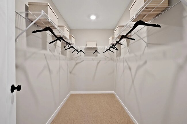 Building Photo - 3793 Shoal Way