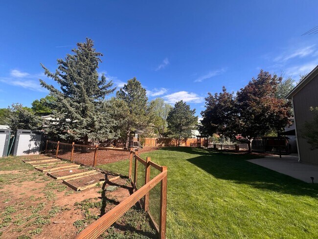 Building Photo - Beautiful Home in West Fort Collins
