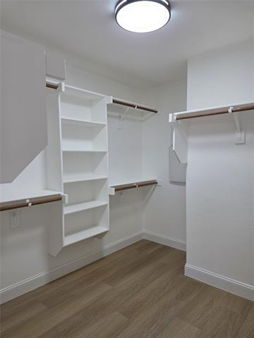 Building Photo - 10013 Daly Dr