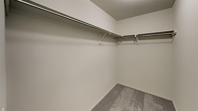 Building Photo - 1825 Jack Rabbit Ln